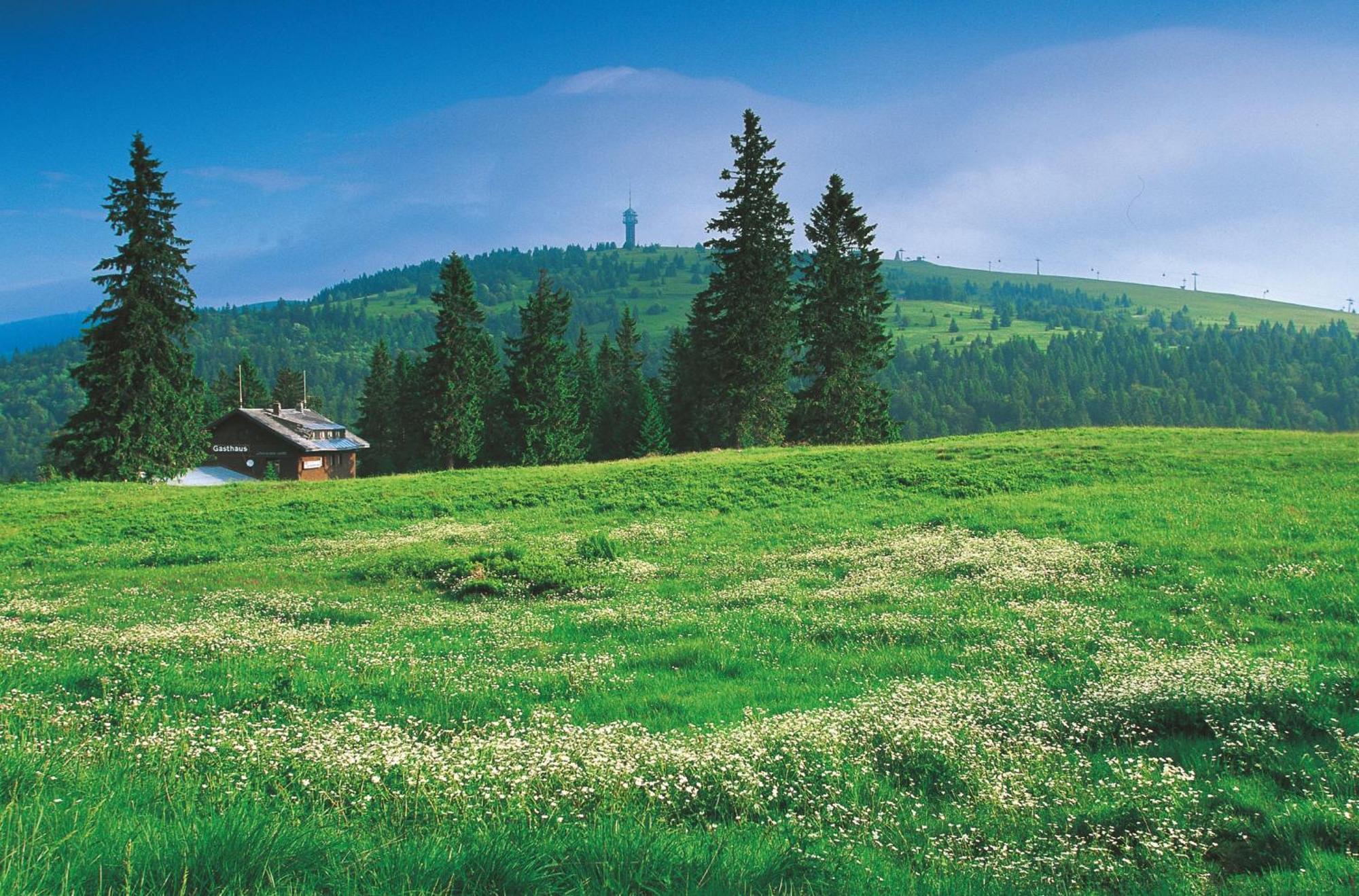 Hotel Charlott Айзенбах Экстерьер фото